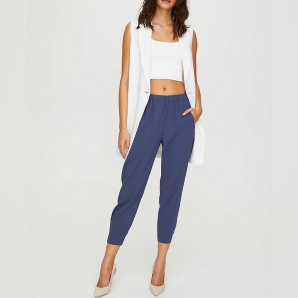 Aritzia Dexter Pant XXS